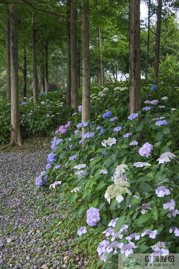 亚洲精品白浆高清久久久久久