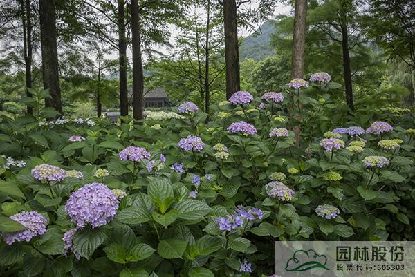 亚洲精品白浆高清久久久久久