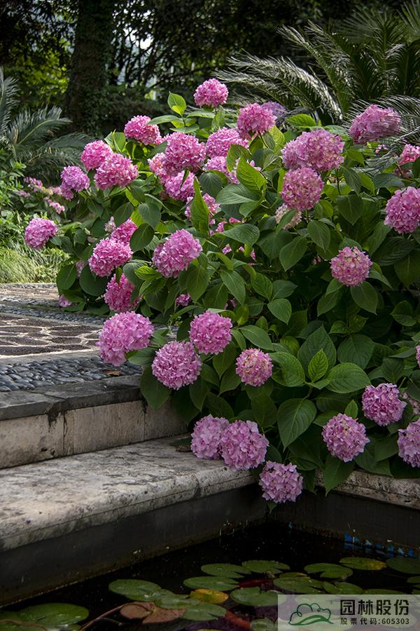 亚洲精品白浆高清久久久久久