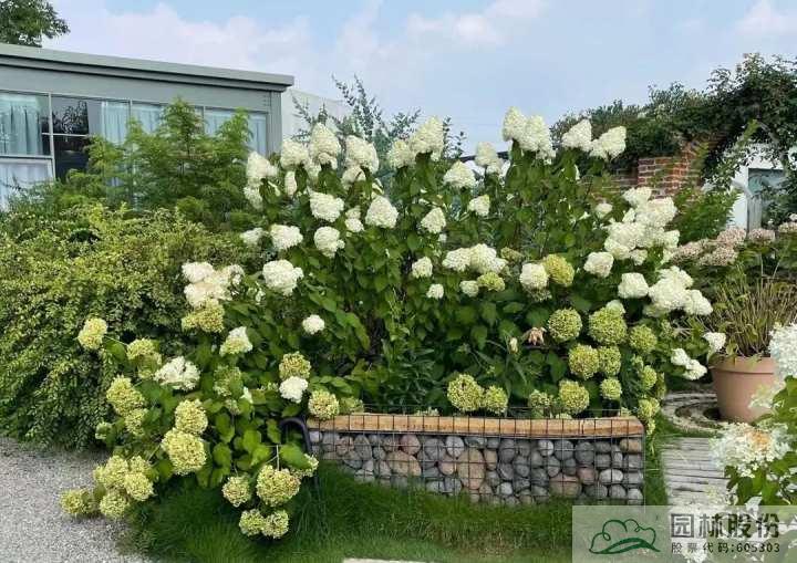 亚洲精品白浆高清久久久久久