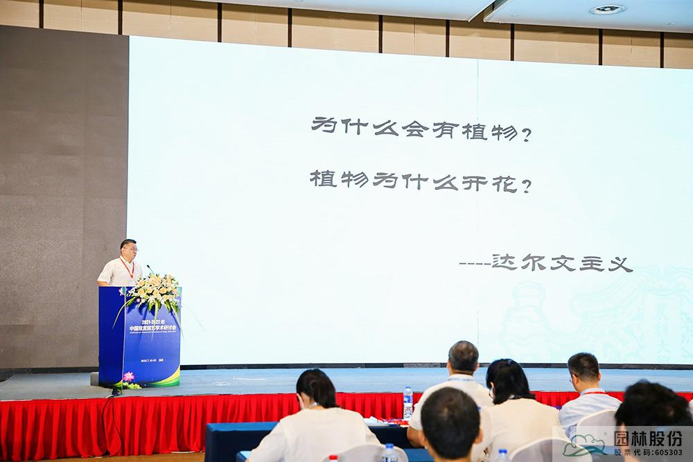 亚洲精品白浆高清久久久久久