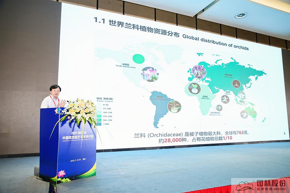 亚洲精品白浆高清久久久久久