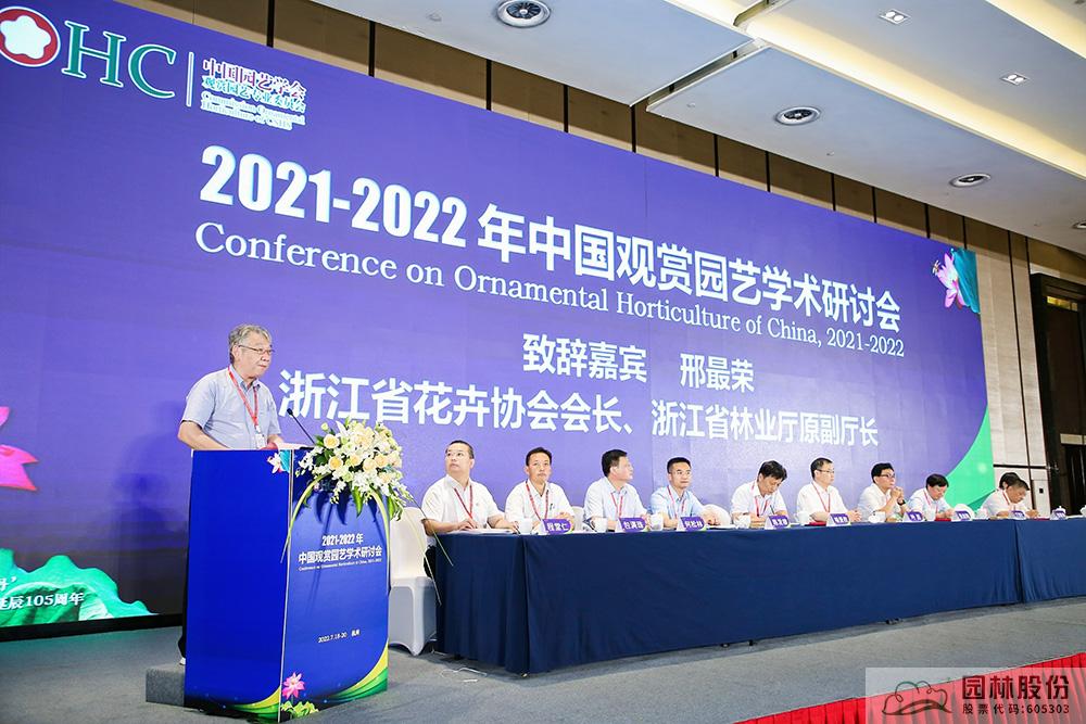 亚洲精品白浆高清久久久久久