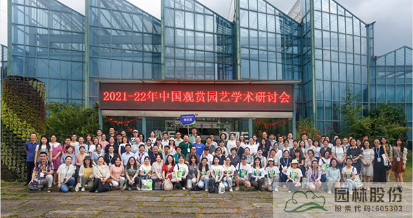 亚洲精品白浆高清久久久久久