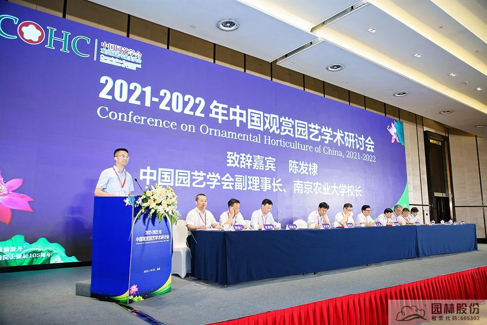 亚洲精品白浆高清久久久久久