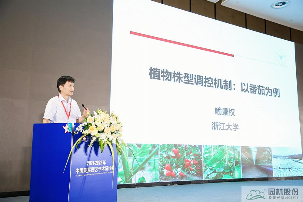 亚洲精品白浆高清久久久久久