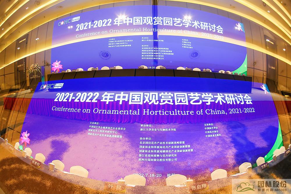 亚洲精品白浆高清久久久久久