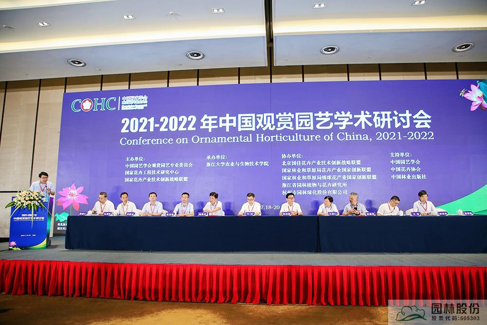 亚洲精品白浆高清久久久久久