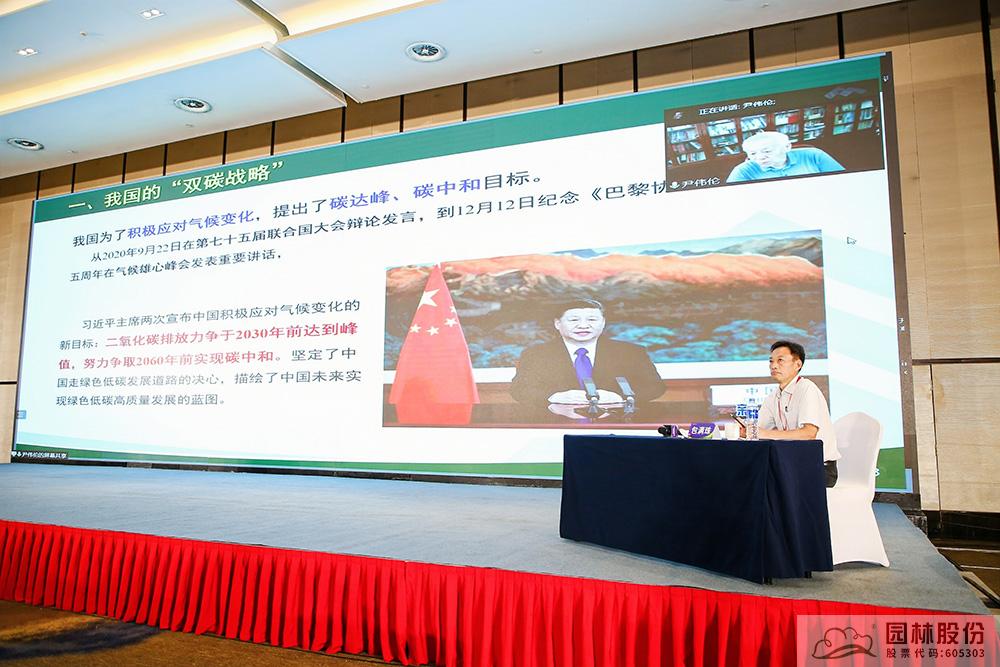 亚洲精品白浆高清久久久久久