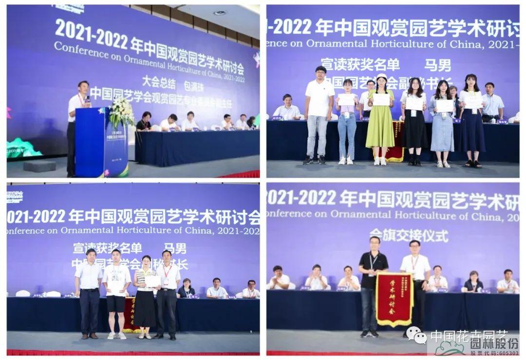 亚洲精品白浆高清久久久久久