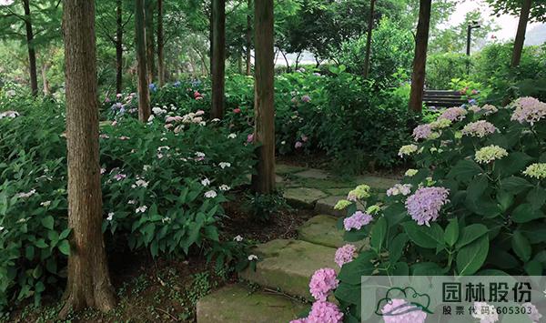 亚洲精品白浆高清久久久久久