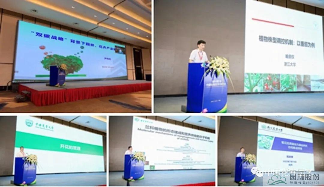 亚洲精品白浆高清久久久久久