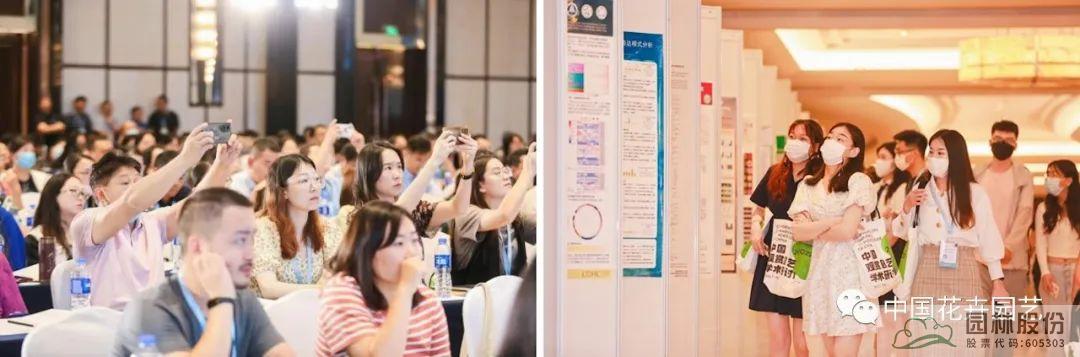 亚洲精品白浆高清久久久久久