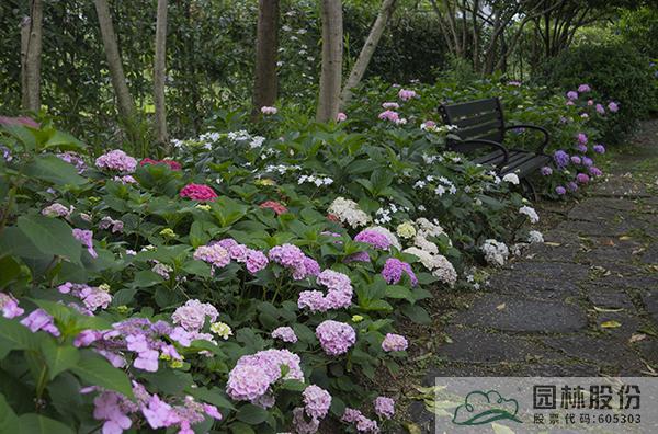 亚洲精品白浆高清久久久久久