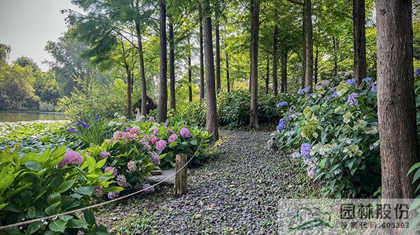 亚洲精品白浆高清久久久久久