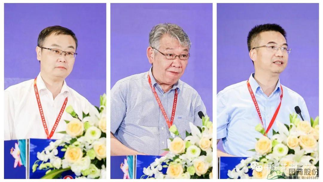 亚洲精品白浆高清久久久久久