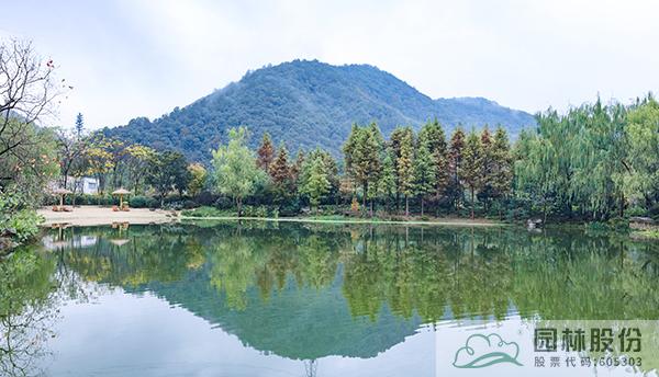 亚洲精品白浆高清久久久久久