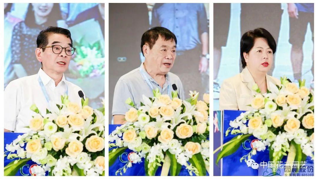 亚洲精品白浆高清久久久久久