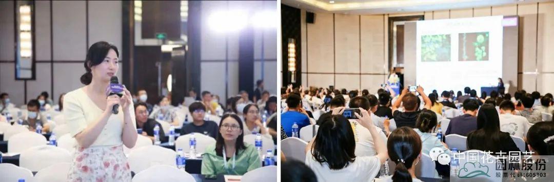 亚洲精品白浆高清久久久久久