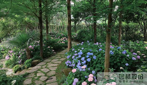 亚洲精品白浆高清久久久久久