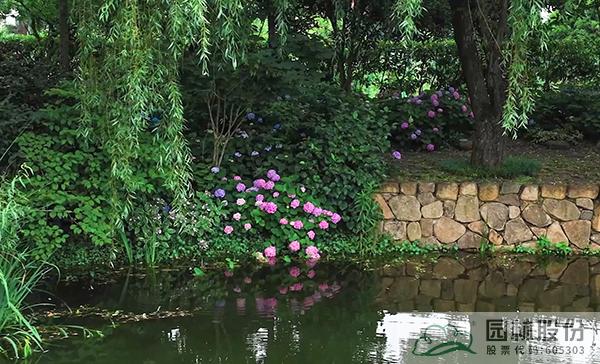 亚洲精品白浆高清久久久久久