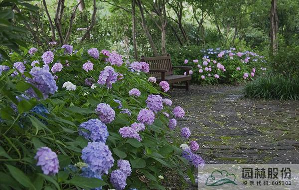 亚洲精品白浆高清久久久久久