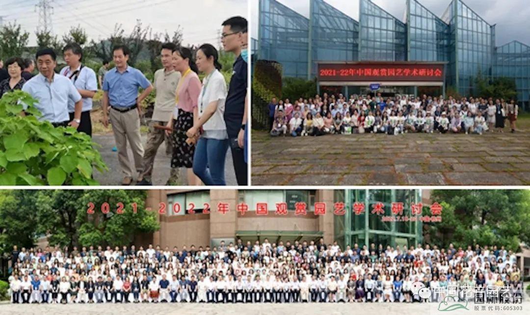 亚洲精品白浆高清久久久久久