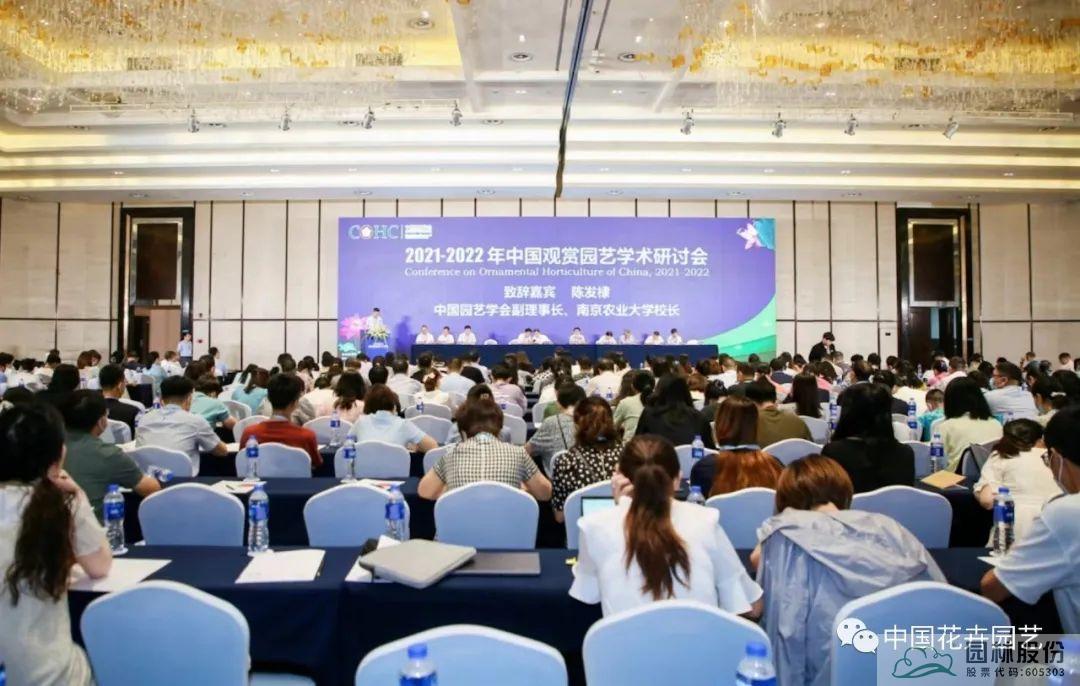 亚洲精品白浆高清久久久久久