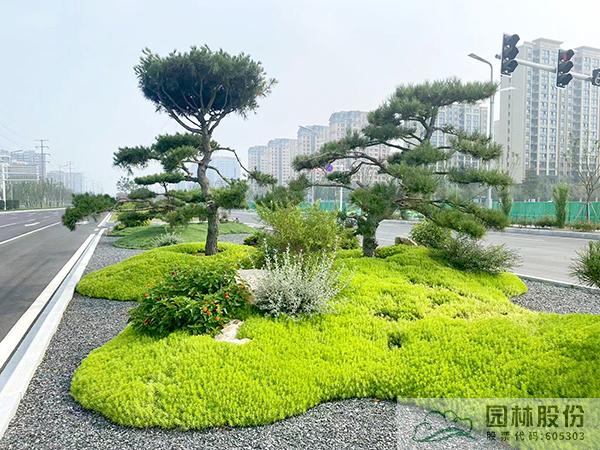 亚洲精品白浆高清久久久久久