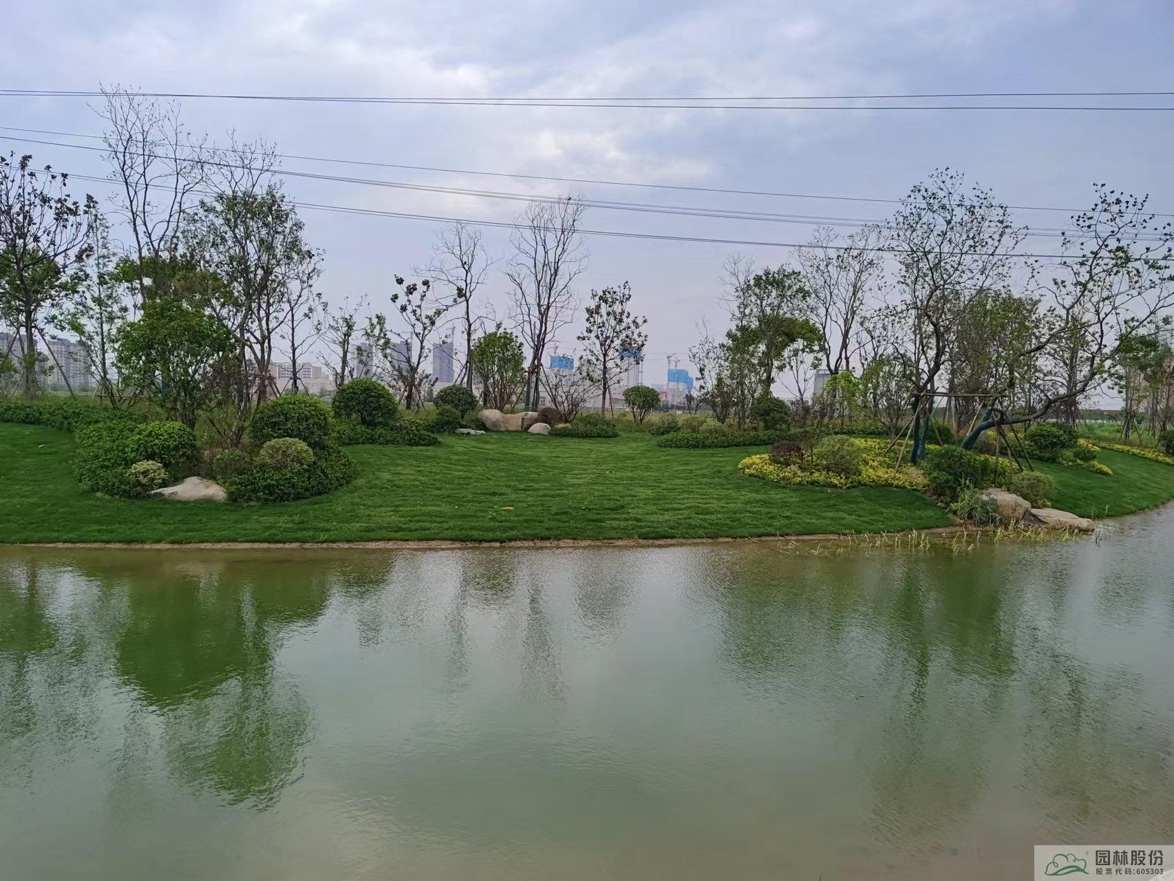 亚洲精品白浆高清久久久久久