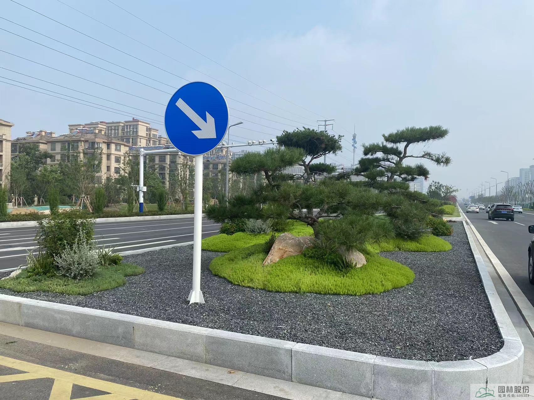 亚洲精品白浆高清久久久久久