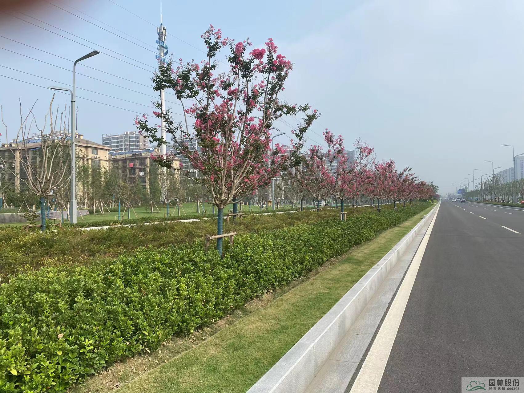 亚洲精品白浆高清久久久久久