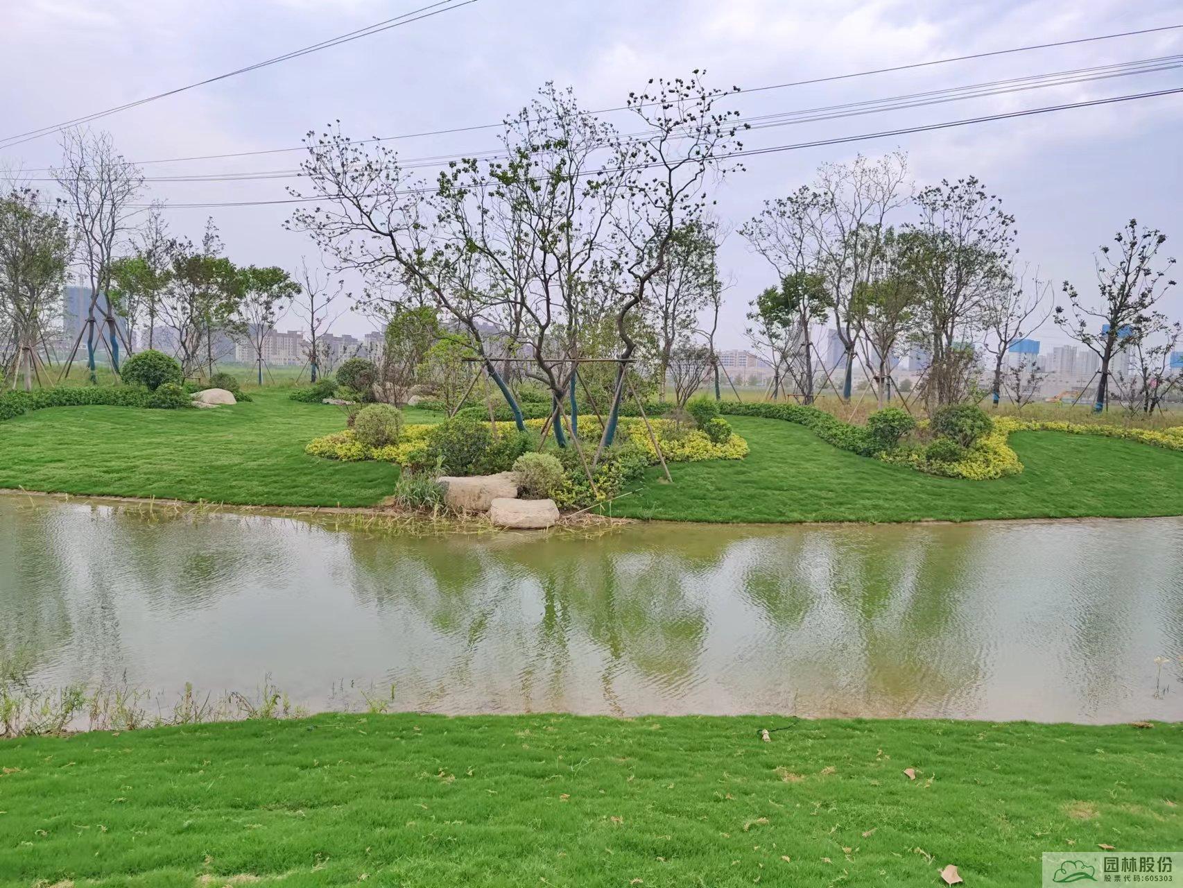 亚洲精品白浆高清久久久久久