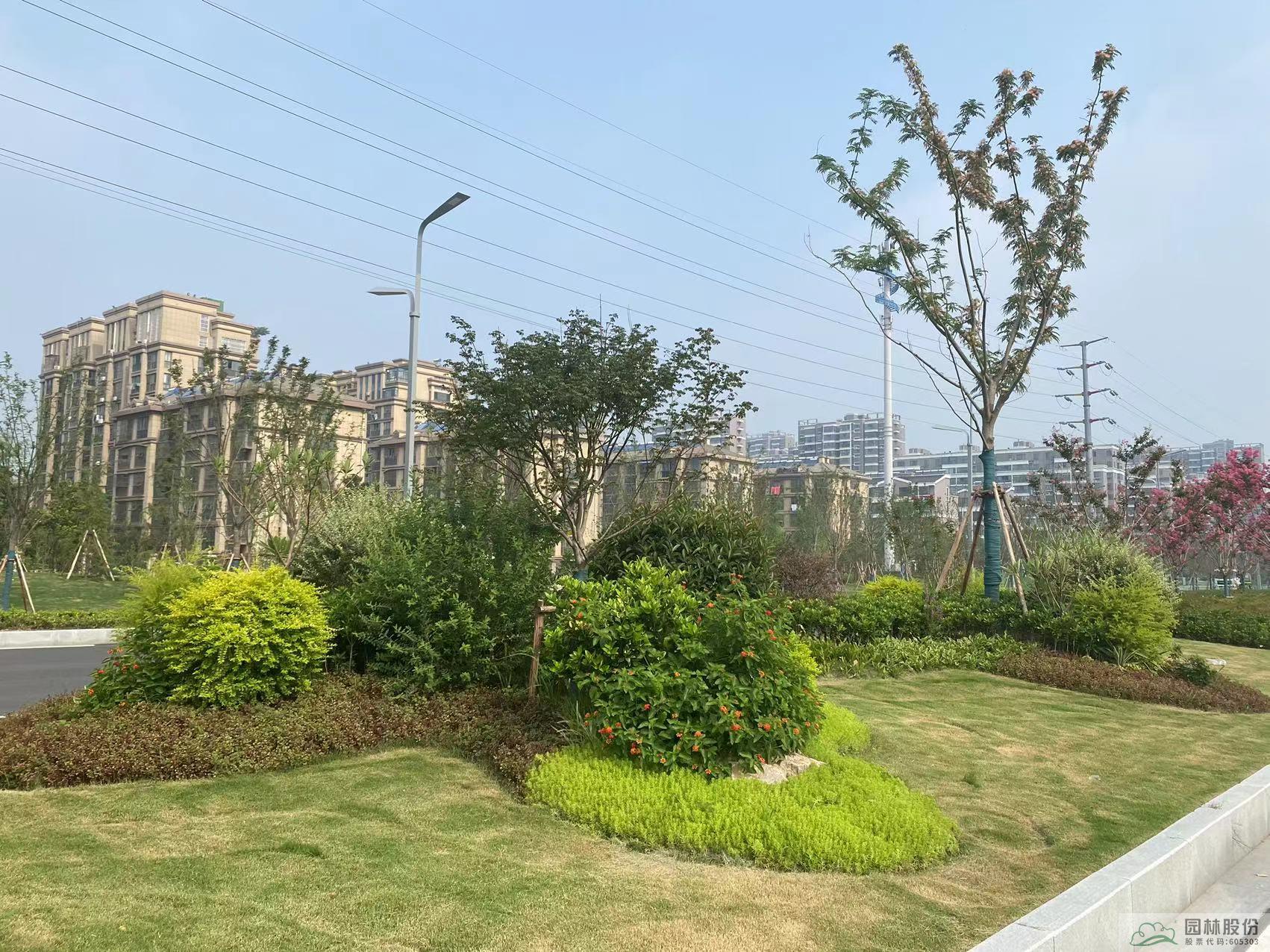 亚洲精品白浆高清久久久久久