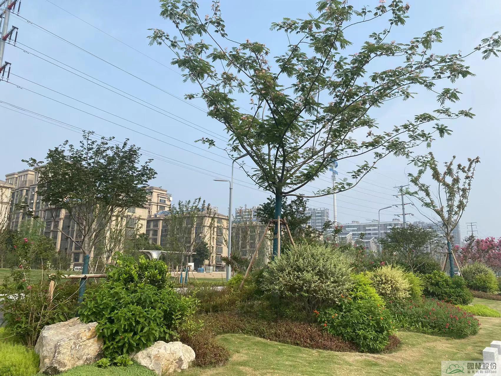 亚洲精品白浆高清久久久久久