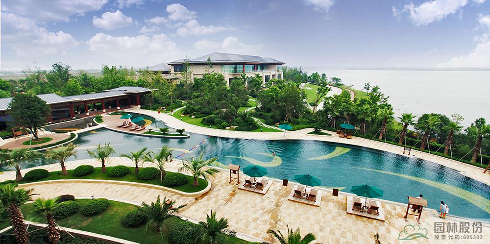 亚洲精品白浆高清久久久久久