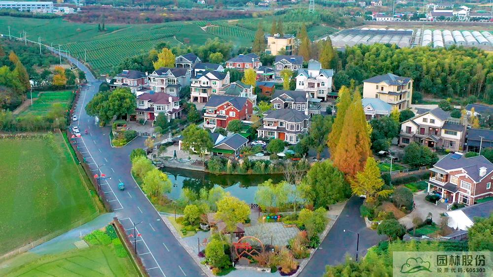 亚洲精品白浆高清久久久久久