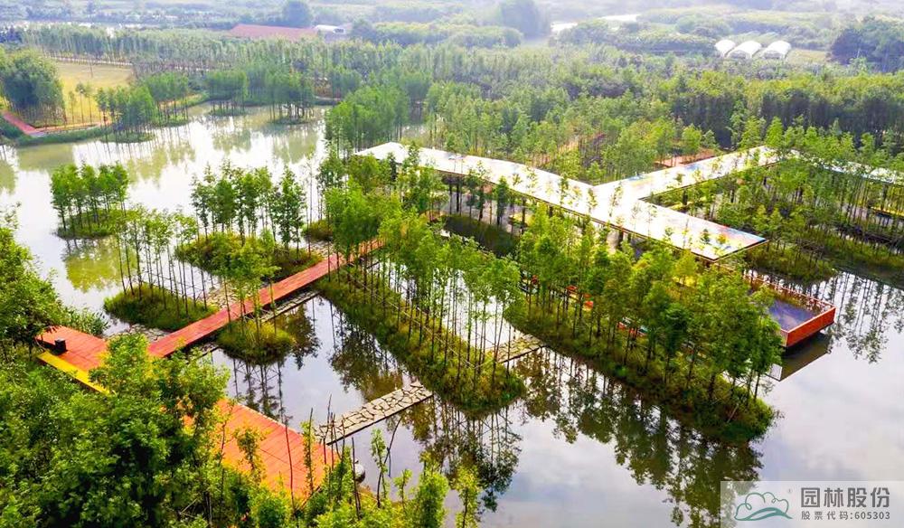 亚洲精品白浆高清久久久久久