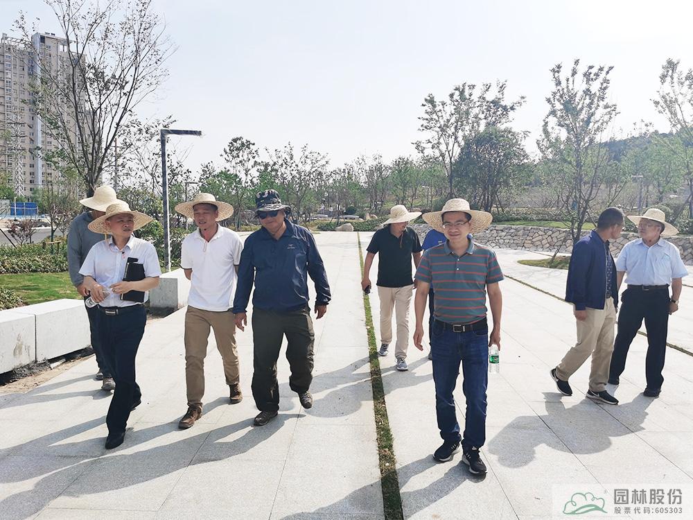 亚洲精品白浆高清久久久久久