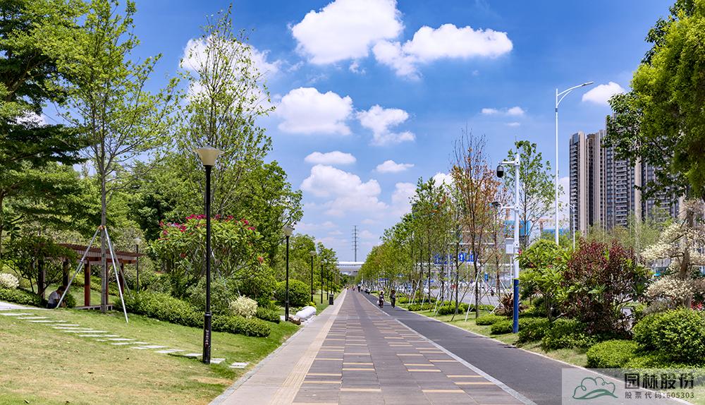 亚洲精品白浆高清久久久久久