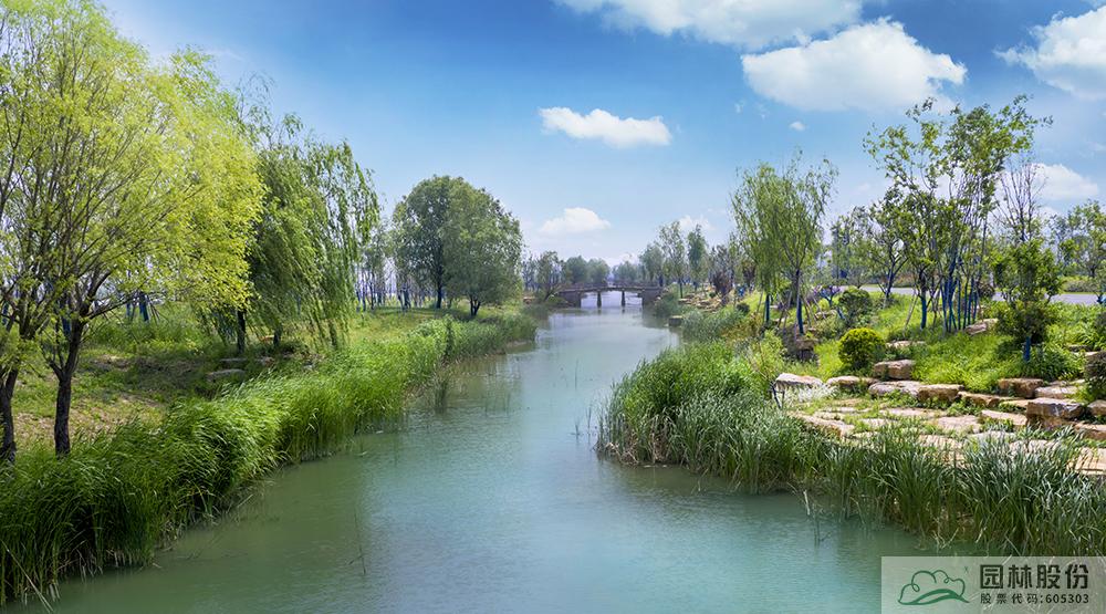 亚洲精品白浆高清久久久久久