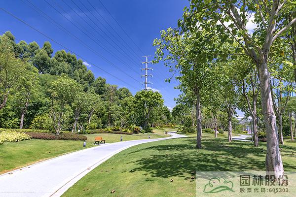 亚洲精品白浆高清久久久久久