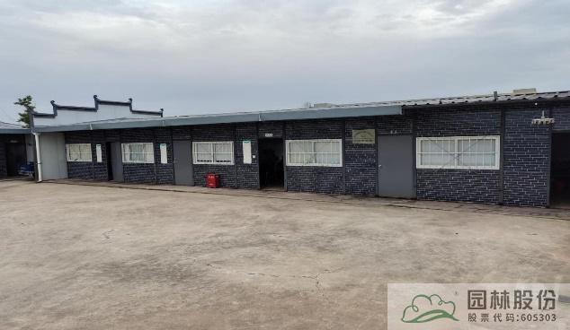 亚洲精品白浆高清久久久久久