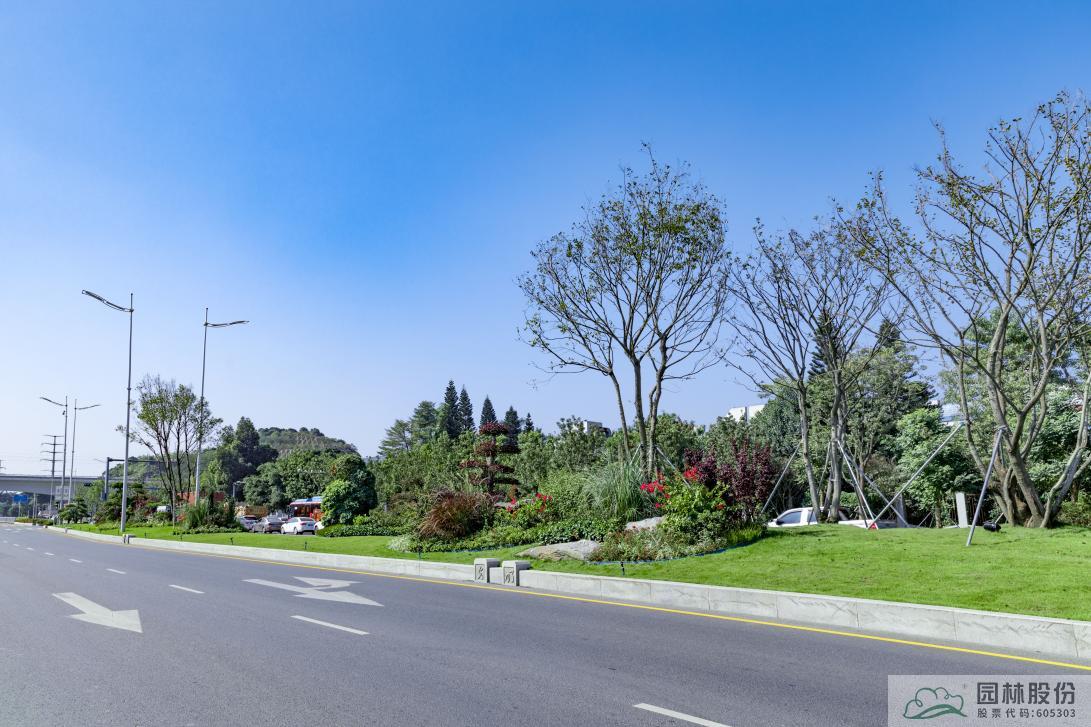 亚洲精品白浆高清久久久久久