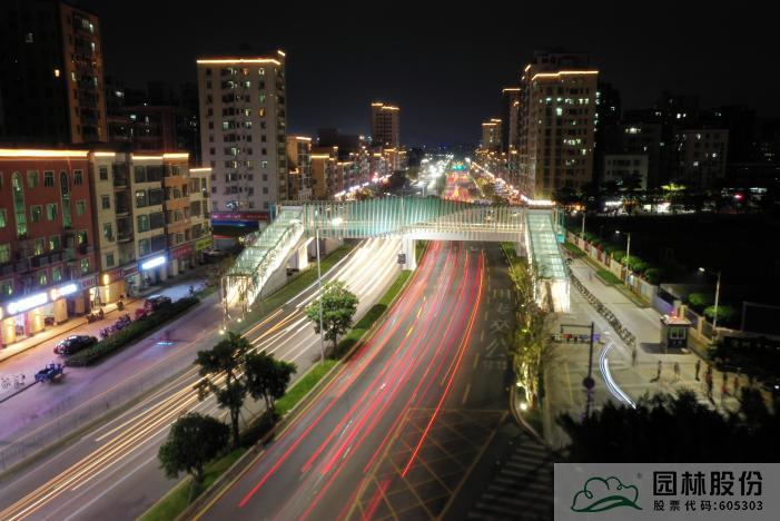 亚洲精品白浆高清久久久久久