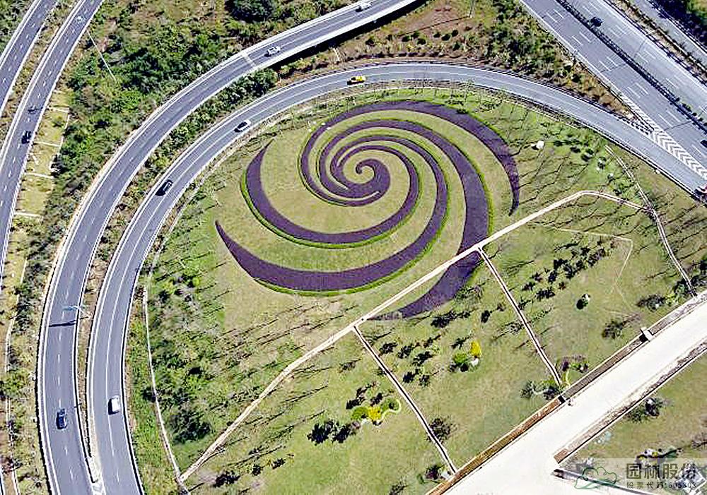 亚洲精品白浆高清久久久久久