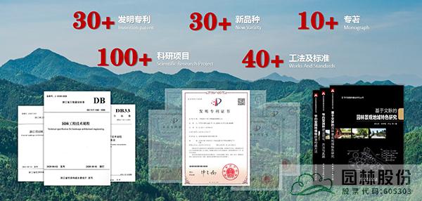 亚洲精品白浆高清久久久久久