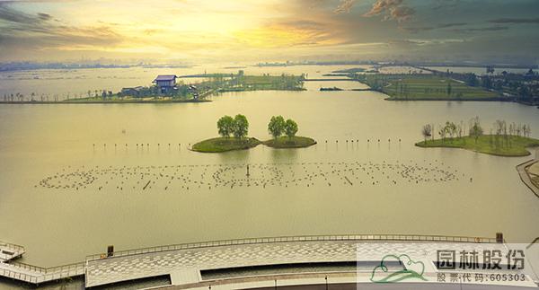 亚洲精品白浆高清久久久久久