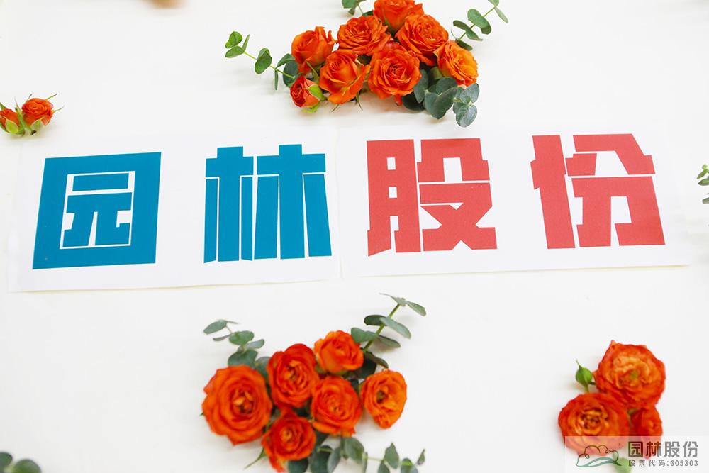 亚洲精品白浆高清久久久久久