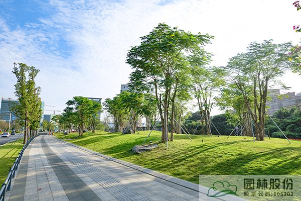 亚洲精品白浆高清久久久久久